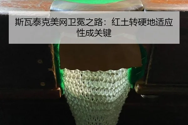 si-wa-tai-ke-mei-wang-wei-mian-zhi-lu-hong-tu-zhuan-ying-di-shi-ying-xing-cheng-guan-jian-2-529.jpg