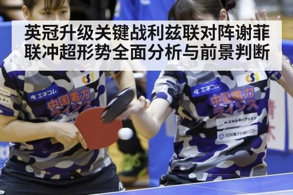 英冠升级关键战利兹联对阵谢菲联冲超形势全面分析与前景判断