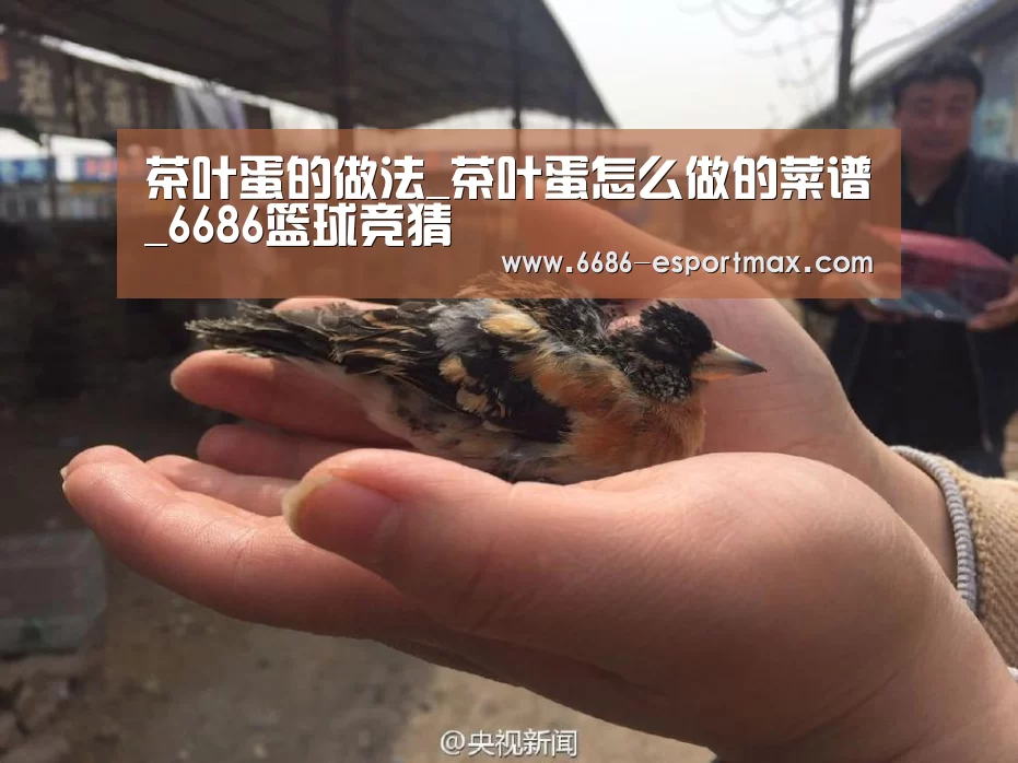 6686篮球竞猜