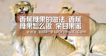 6686体育APP
