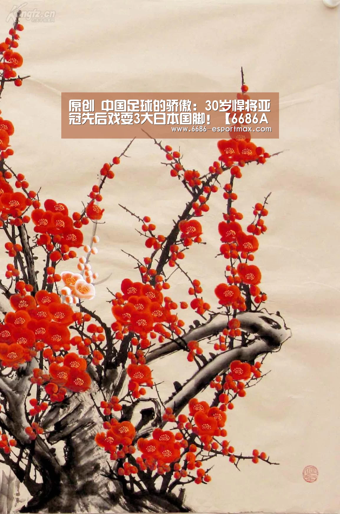 6686篮球竞猜